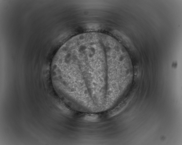 X0000101410369200807281031