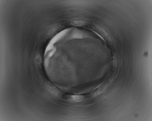 X0000101410371200807281031
