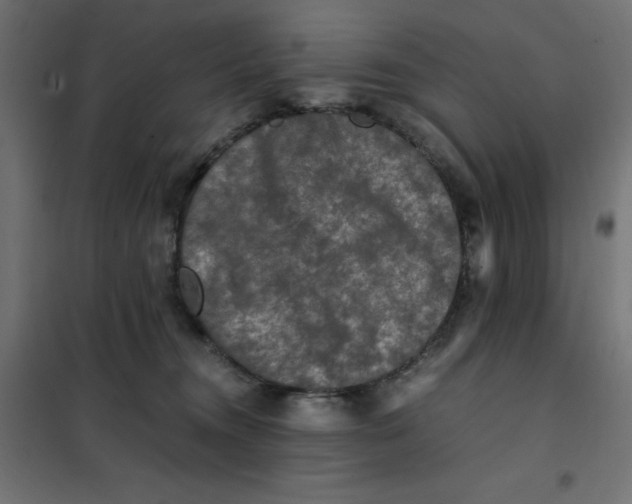 X0000101410372200807281031