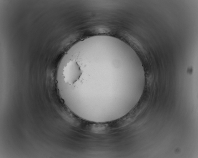 X0000101410373200807281031