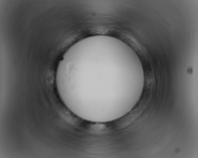 X0000101410374200807281031