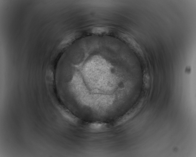 X0000101410375200807281031