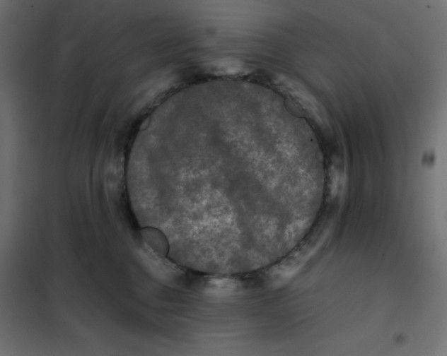 X0000101410376200807281031
