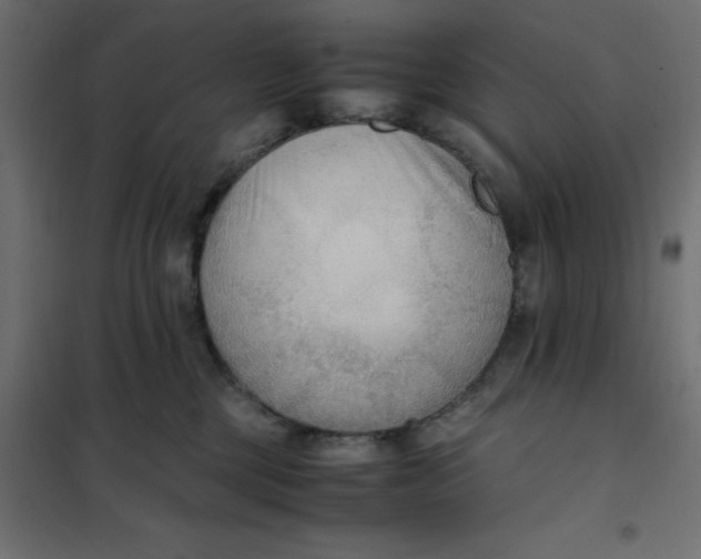 X0000101410377200807281031