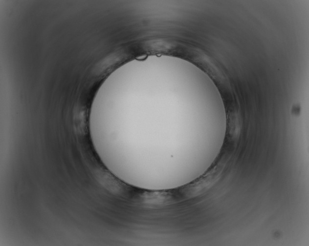X0000101410378200807281031