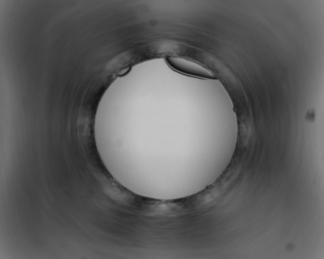X0000101410379200807281031