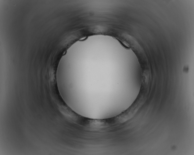 X0000101410380200807281031