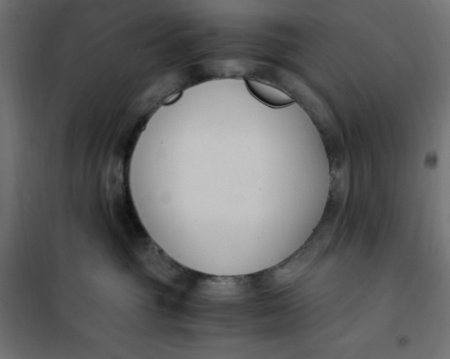 X0000101410381200807281031