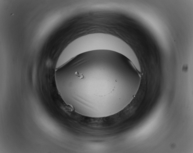 X0000101410382200807281031