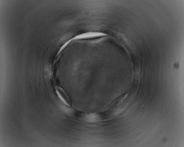X0000101410383200807281031