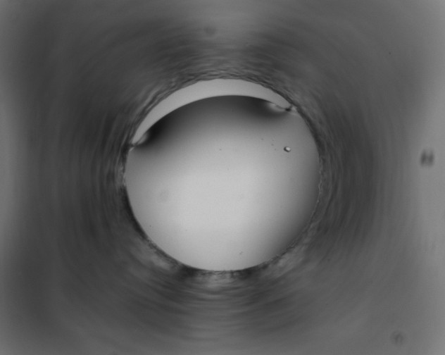 X0000101410384200807281031