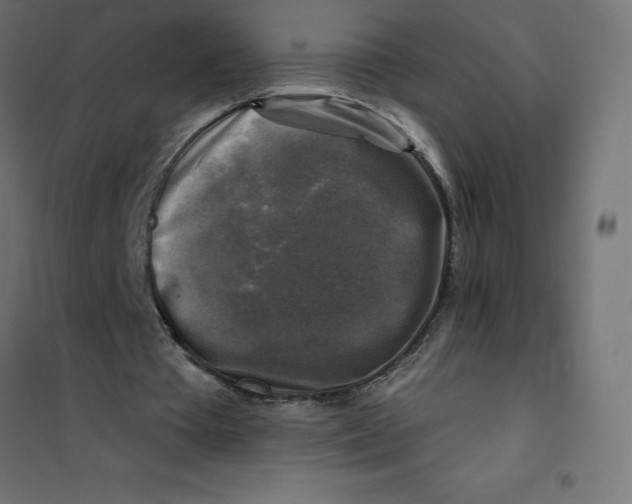 X0000101410385200807281030