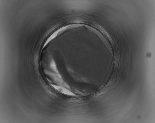 X0000101410386200807281030