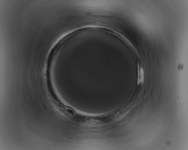 X0000101410387200807281030