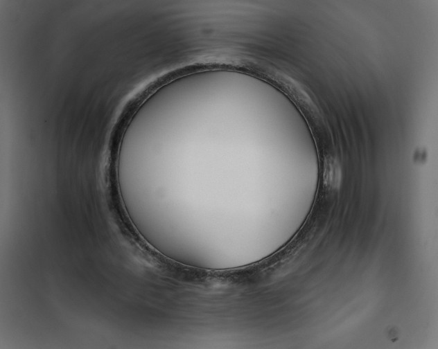 X0000101410388200807281030