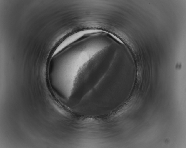 X0000101410390200807281030