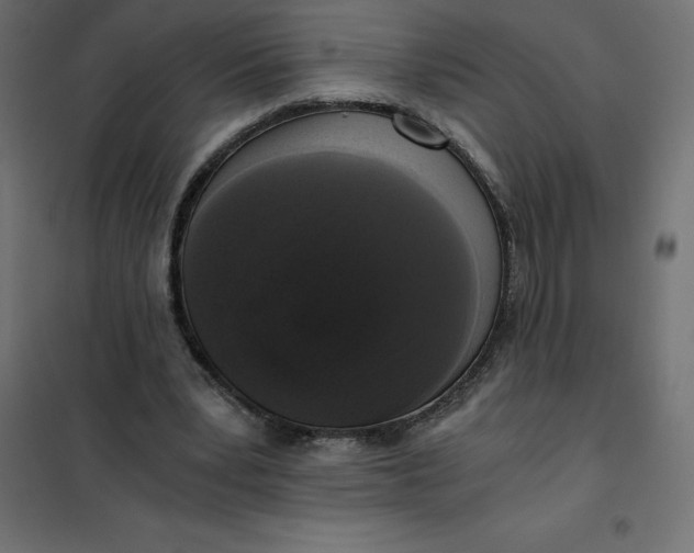 X0000101410391200807281030