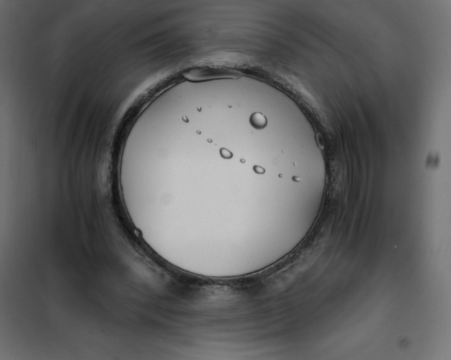 X0000101410392200807281030