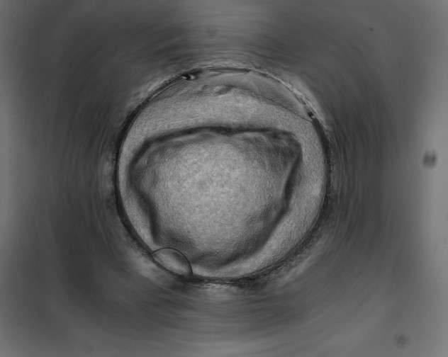 X0000101410393200807281030
