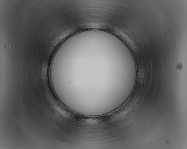 X0000101410394200807281030