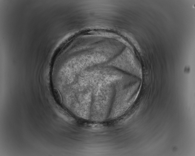 X0000101410395200807281030
