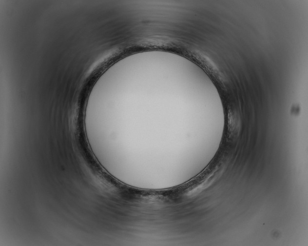 X0000101410396200807281030