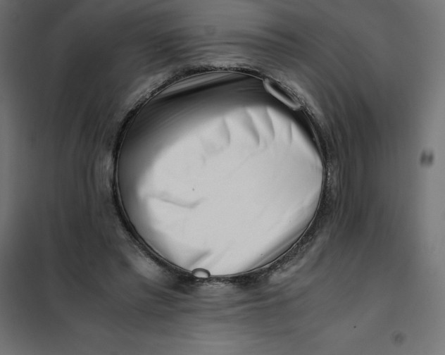 X0000101410397200807281030