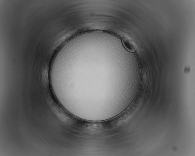 X0000101410398200807281030