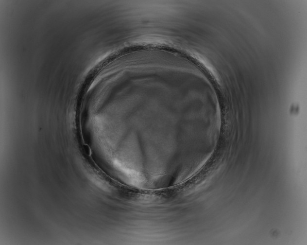 X0000101410399200807281030