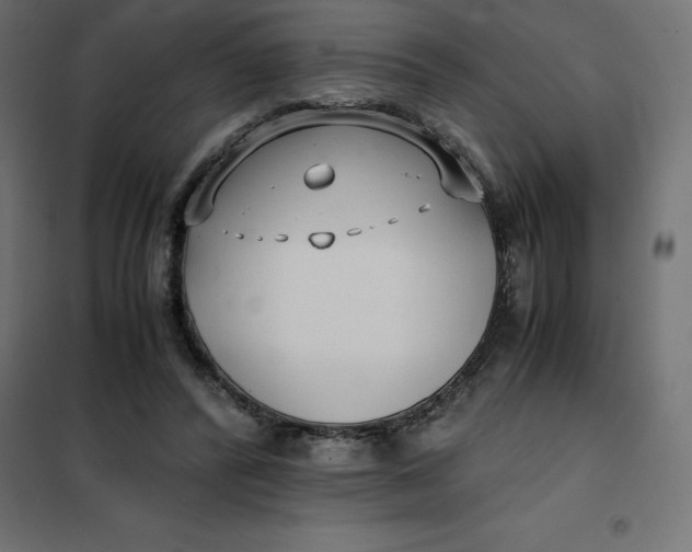 X0000101410400200807281030