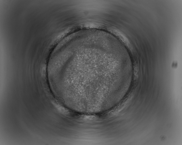 X0000101410401200807281030