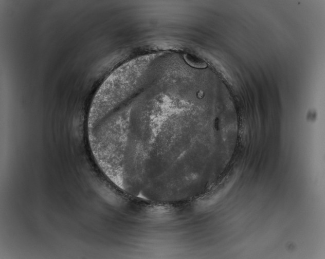X0000101410402200807281030