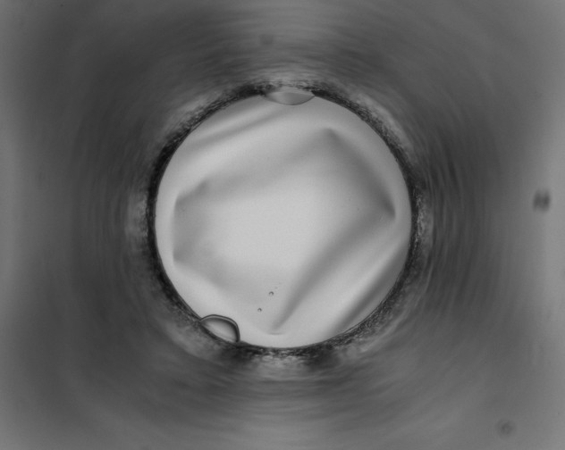 X0000101410403200807281030