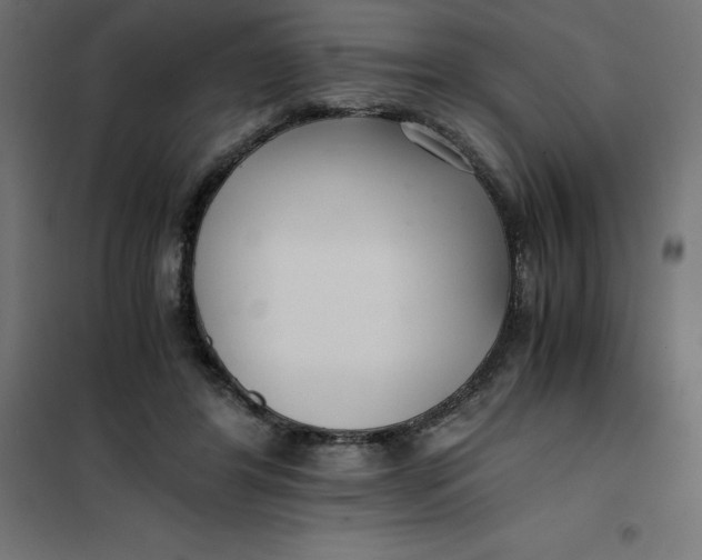 X0000101410404200807281030