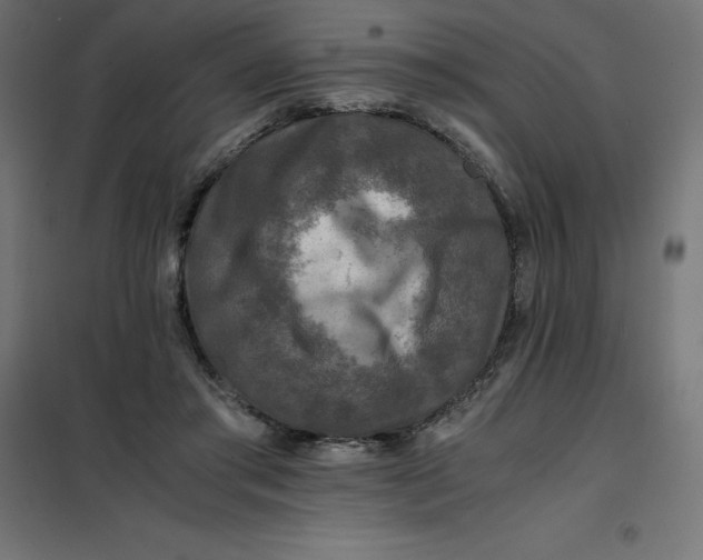 X0000101410405200807281030