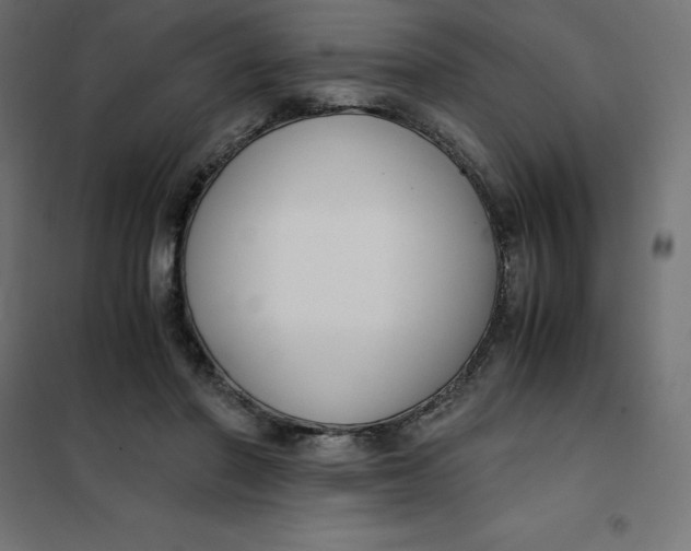 X0000101410406200807281030