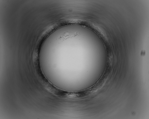 X0000101410407200807281030
