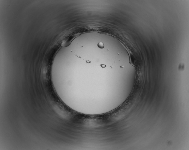 X0000101410408200807281030