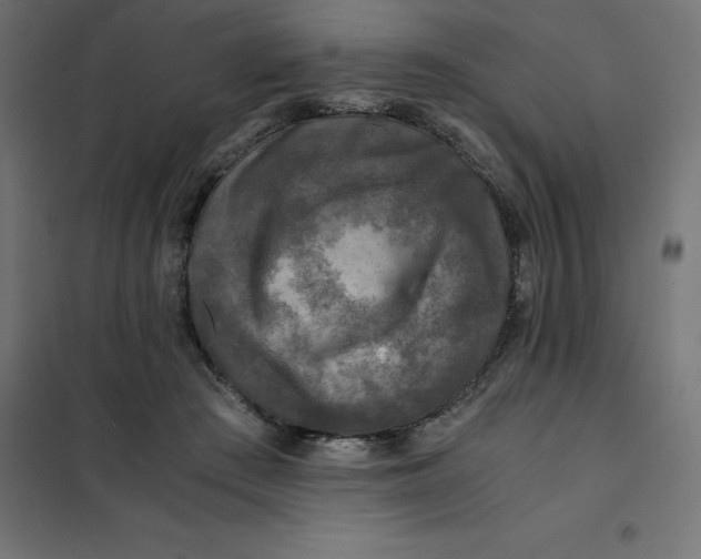 X0000101410409200807281030