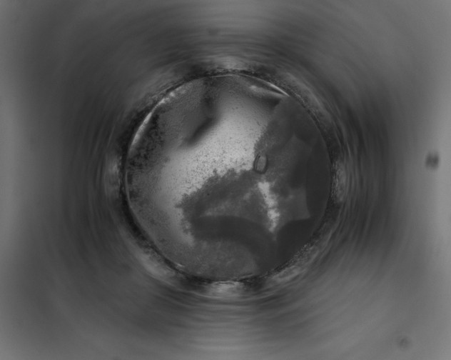 X0000101410410200807281030