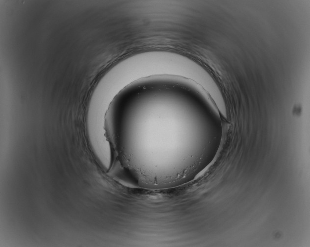 X0000101410411200807281030