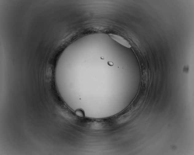 X0000101410412200807281030