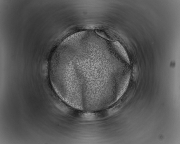X0000101410413200807281030