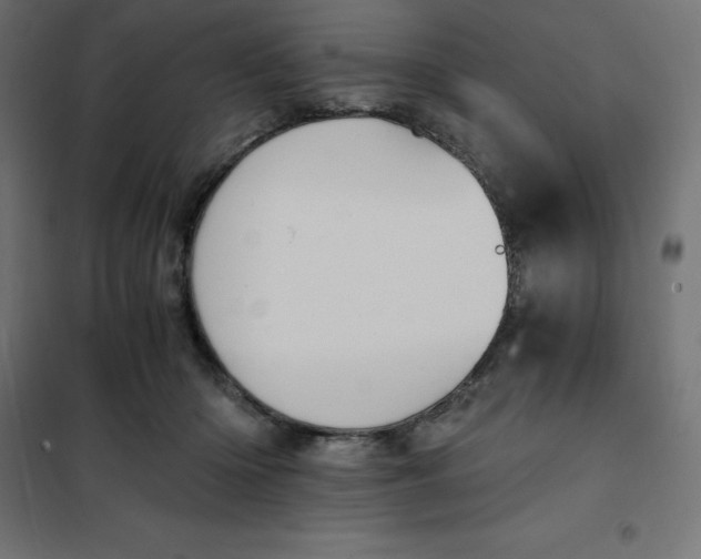 X0000101410414200807281030