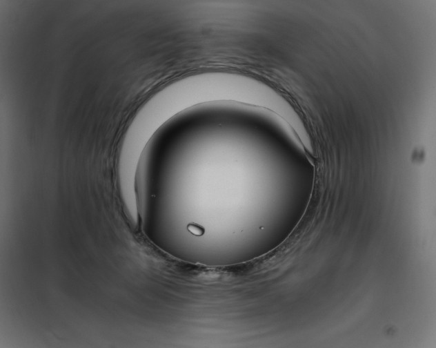 X0000101410415200807281030