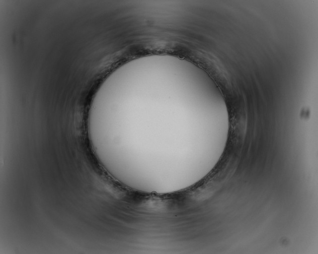 X0000101410416200807281030