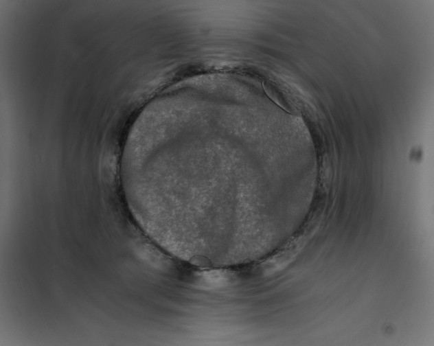 X0000101410417200807281030