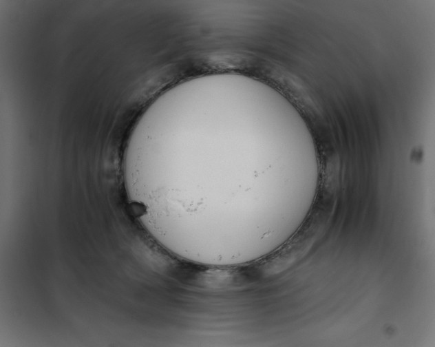 X0000101410418200807281030
