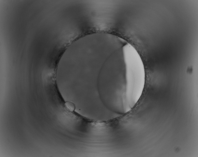 X0000101410419200807281030