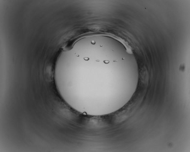 X0000101410420200807281030